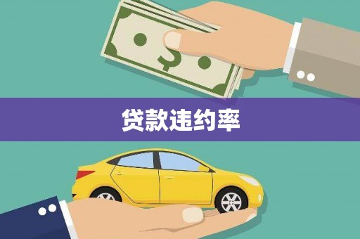 龙华新区贷款违约率