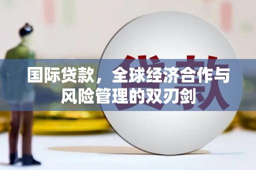 龙华新区国际贷款，全球经济合作与风险管理的双刃剑