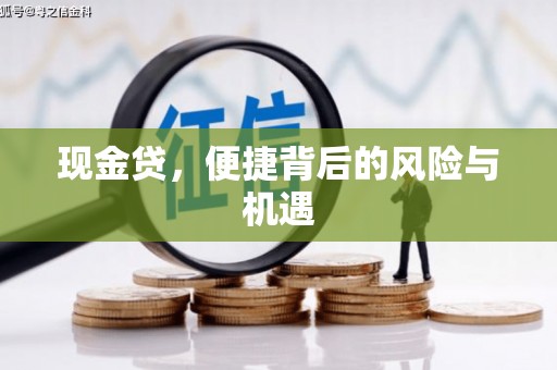 龙华新区现金贷，便捷背后的风险与机遇