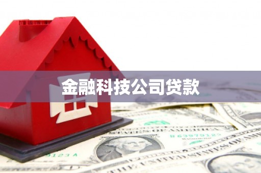 龙华新区金融科技公司贷款