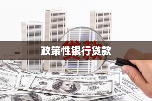 龙华新区政策性银行贷款