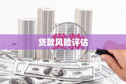 龙华新区贷款风险评估