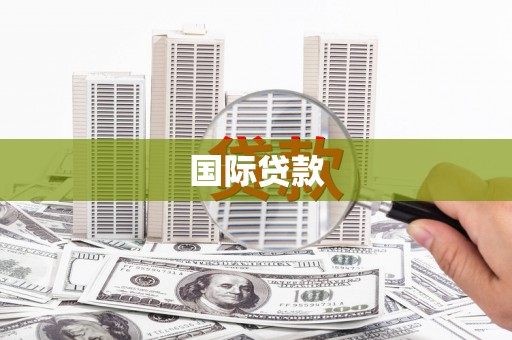 龙华新区国际贷款