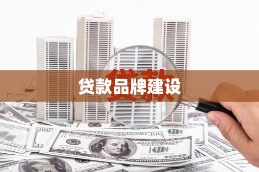龙华新区贷款品牌建设