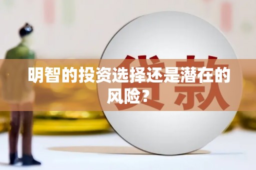 龙华新区明智的投资选择还是潜在的风险？
