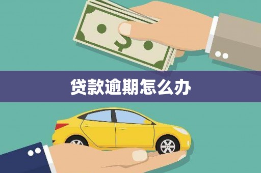 龙华新区贷款逾期怎么办