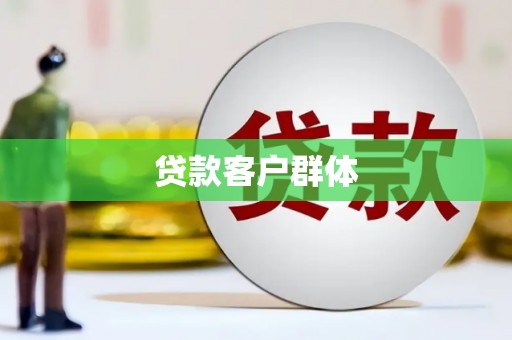 龙华新区贷款客户群体