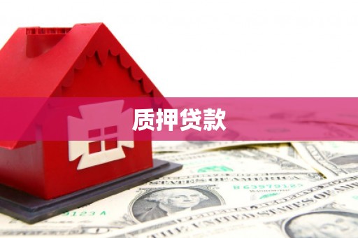 龙华新区质押贷款