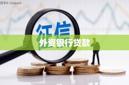 龙华新区外资银行贷款