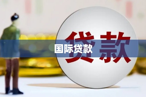 龙华新区国际贷款
