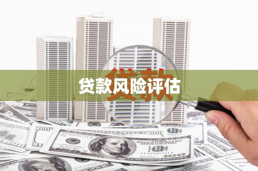 龙华新区贷款风险评估