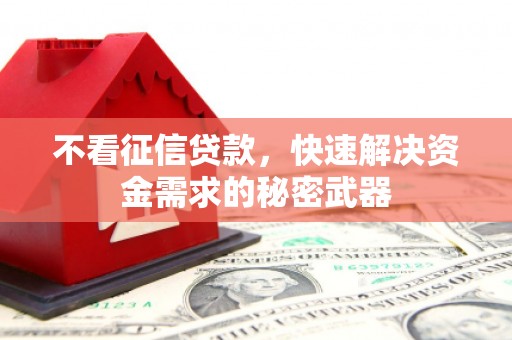 龙华新区不看征信贷款，快速解决资金需求的秘密武器