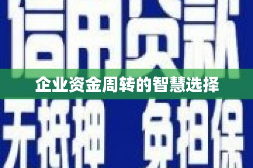 龙华新区企业资金周转的智慧选择