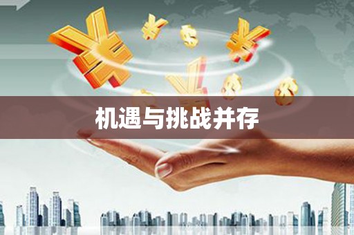 龙华新区机遇与挑战并存