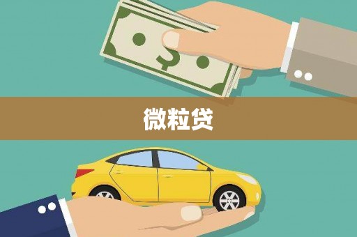 龙华新区微粒贷