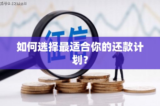 龙华新区如何选择最适合你的还款计划？