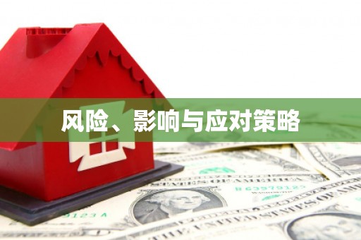 龙华新区风险、影响与应对策略