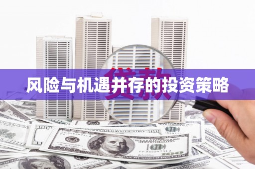 龙华新区风险与机遇并存的投资策略
