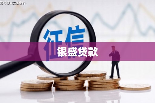 龙华新区银盛贷款