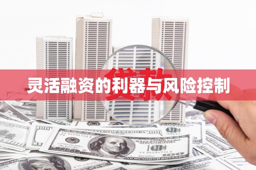 龙华新区灵活融资的利器与风险控制