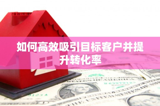龙华新区如何高效吸引目标客户并提升转化率