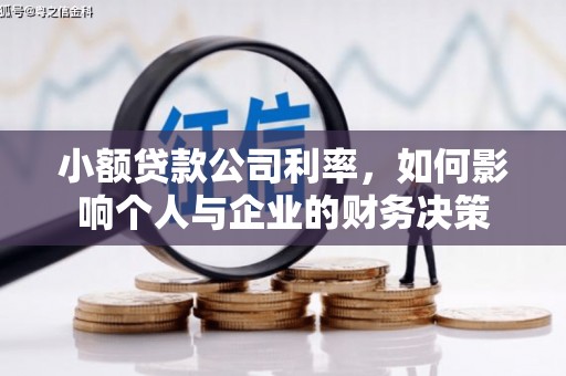 龙华新区小额贷款公司利率，如何影响个人与企业的财务决策