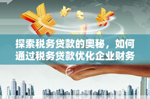 龙华新区探索税务贷款的奥秘，如何通过税务贷款优化企业财务