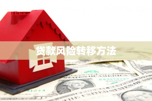 龙华新区贷款风险转移方法