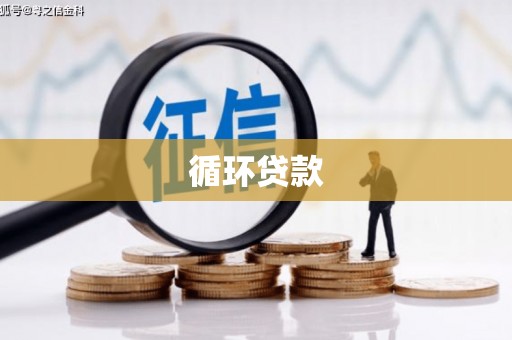 龙华新区循环贷款