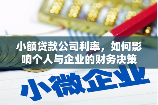 龙华新区小额贷款公司利率，如何影响个人与企业的财务决策