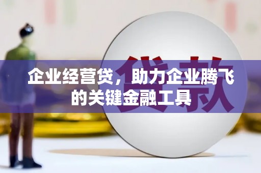 龙华新区企业经营贷，助力企业腾飞的关键金融工具