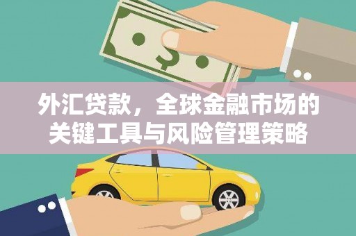 龙华新区外汇贷款，全球金融市场的关键工具与风险管理策略