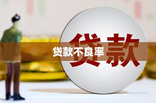 龙华新区贷款不良率