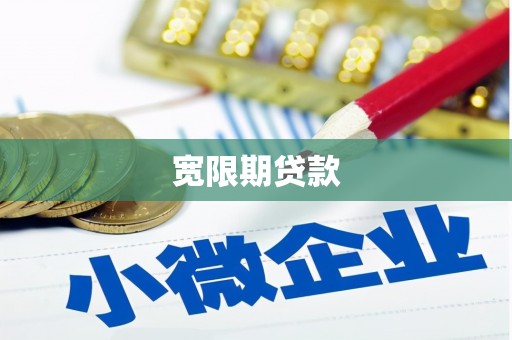 龙华新区宽限期贷款