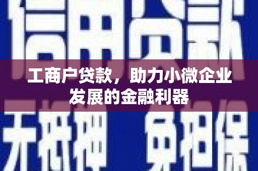 龙华新区工商户贷款，助力小微企业发展的金融利器