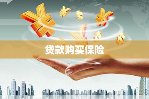 龙华新区贷款购买保险