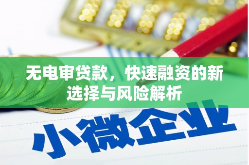 龙华新区无电审贷款，快速融资的新选择与风险解析
