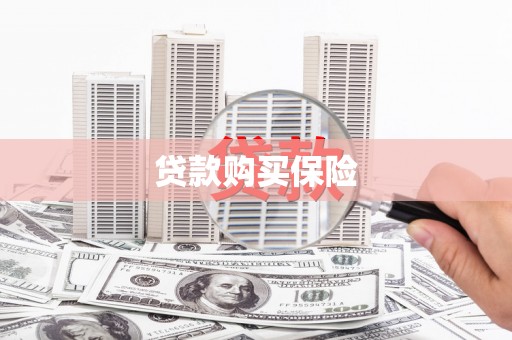 龙华新区贷款购买保险