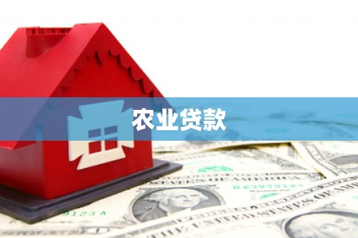 龙华新区农业贷款
