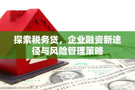 龙华新区探索税务贷，企业融资新途径与风险管理策略