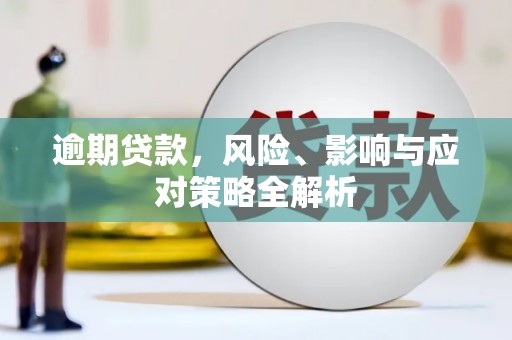 龙华新区逾期贷款，风险、影响与应对策略全解析