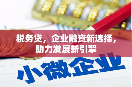 龙华新区税务贷，企业融资新选择，助力发展新引擎