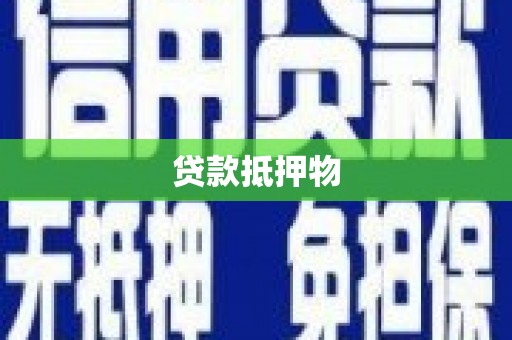 龙华新区贷款抵押物
