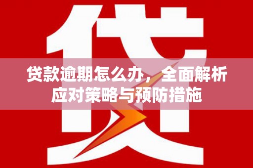 龙华新区贷款逾期怎么办，全面解析应对策略与预防措施
