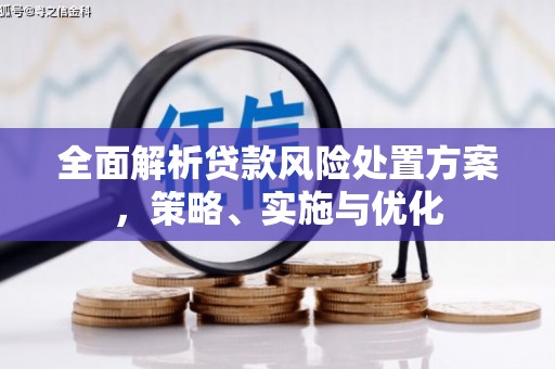 龙华新区全面解析贷款风险处置方案，策略、实施与优化