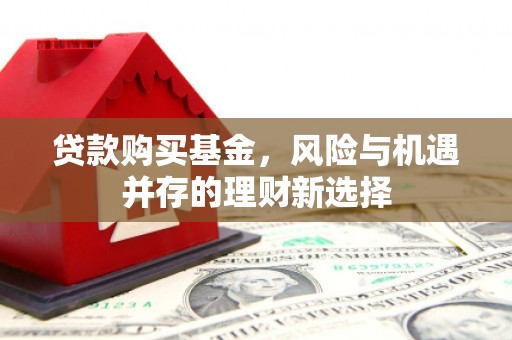 龙华新区贷款购买基金，风险与机遇并存的理财新选择