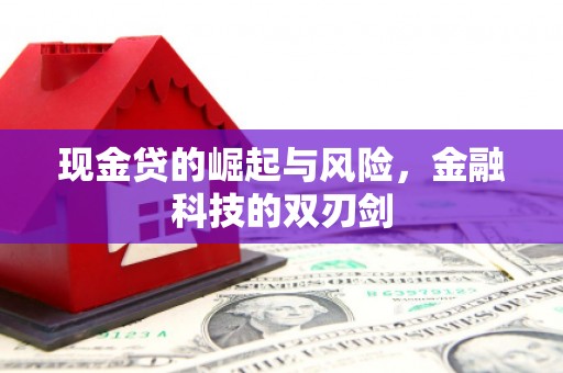 龙华新区现金贷的崛起与风险，金融科技的双刃剑