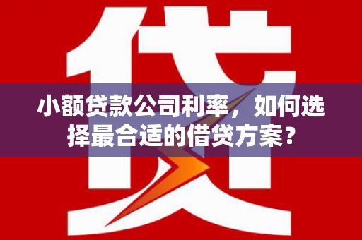 龙华新区小额贷款公司利率，如何选择最合适的借贷方案？
