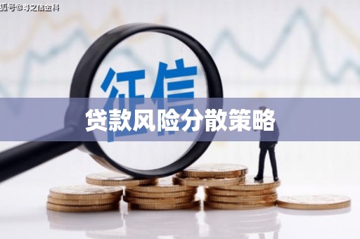 龙华新区贷款风险分散策略