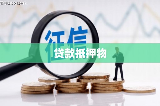 龙华新区贷款抵押物